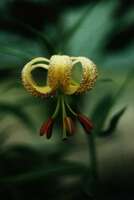 Foto: Norgart Martschinke